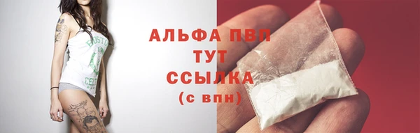 стафф Краснослободск